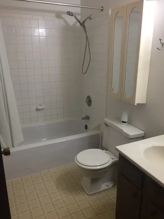 Picture 19