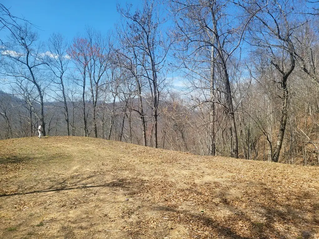 Picture 4