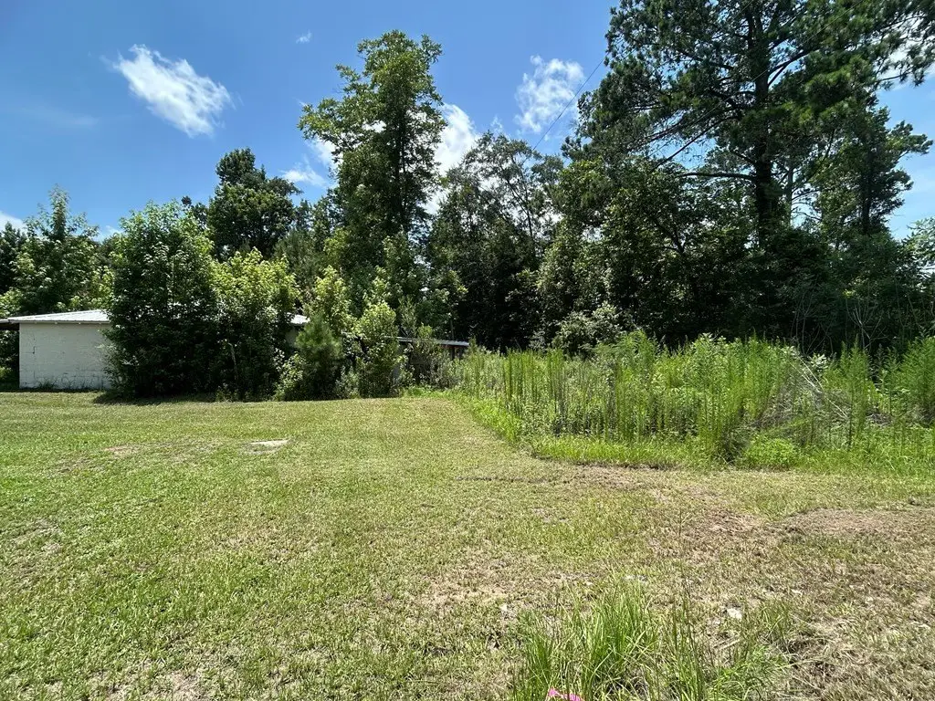 Picture 12