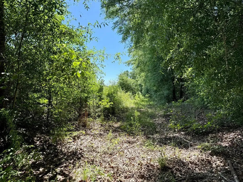 Picture 4