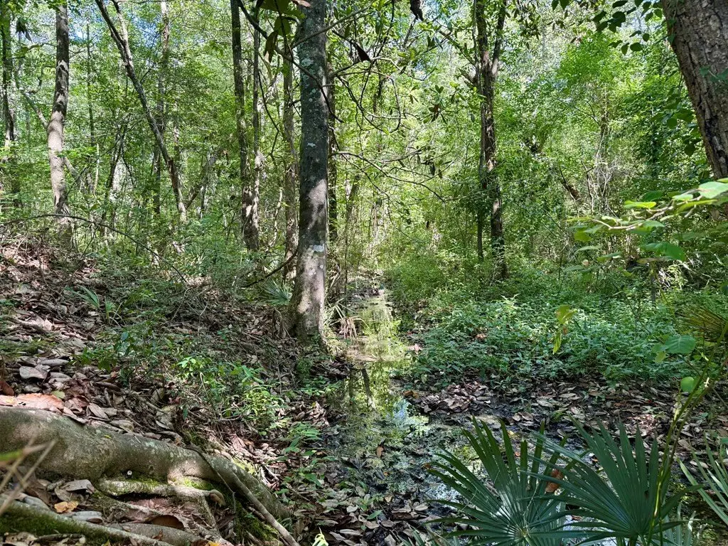 Picture 26