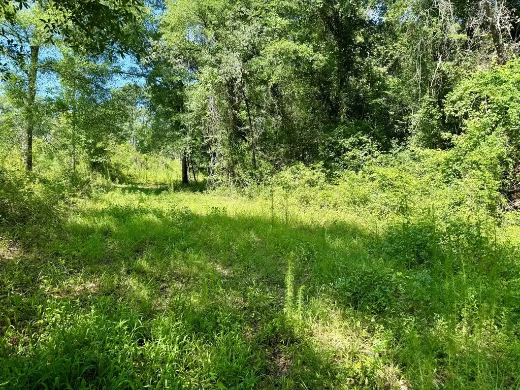 Picture 28