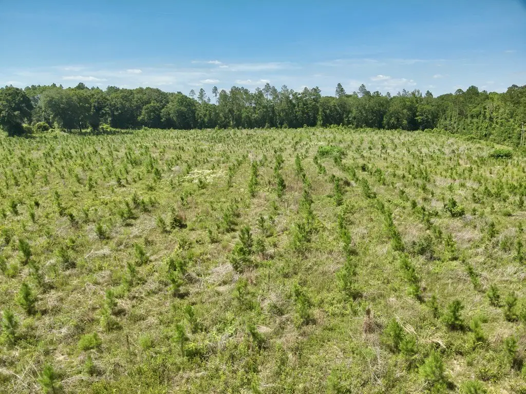 Picture 24