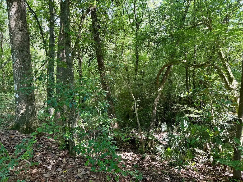 Picture 27