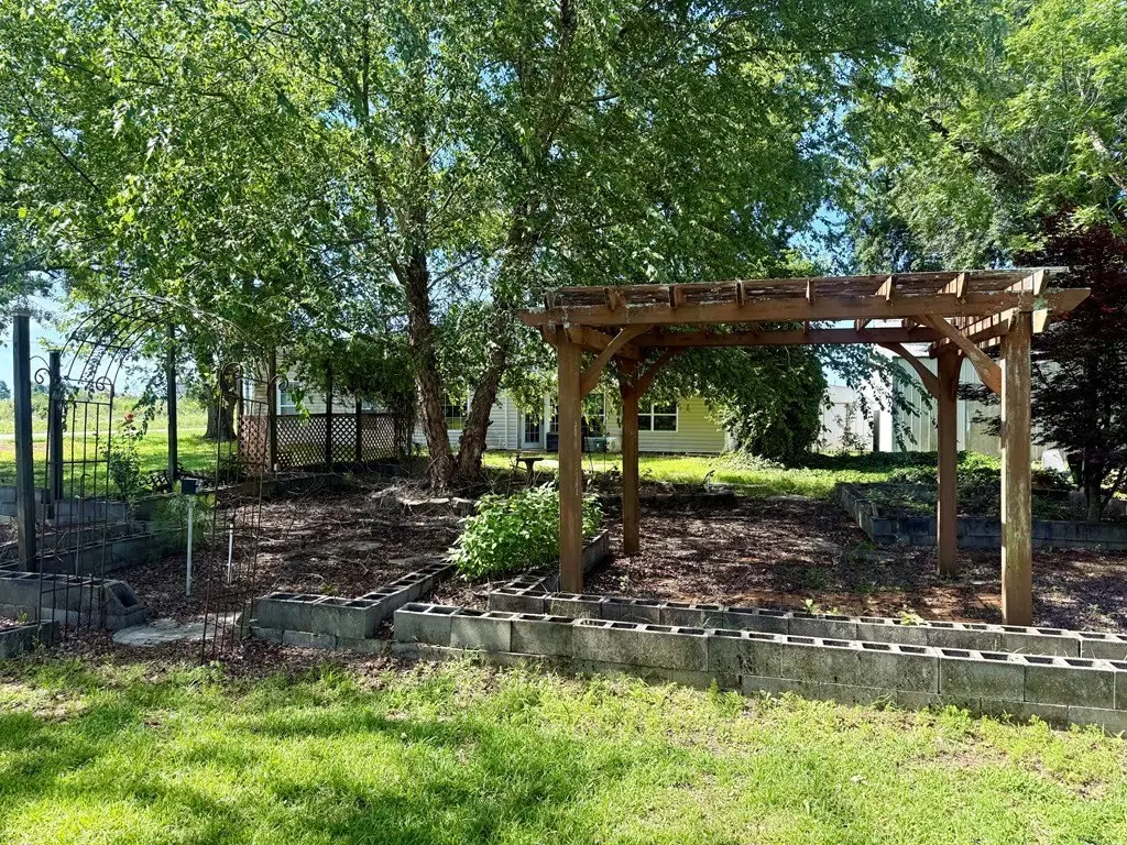 Picture 11