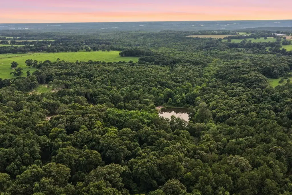 Picture 23