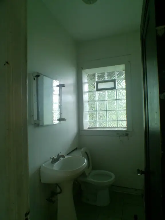 Picture 13