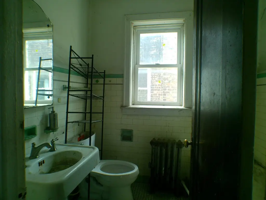 Picture 8