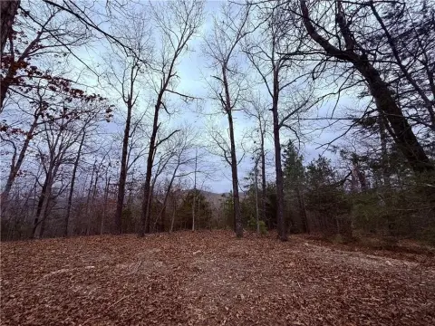 Ozark Forested Property Near Lake