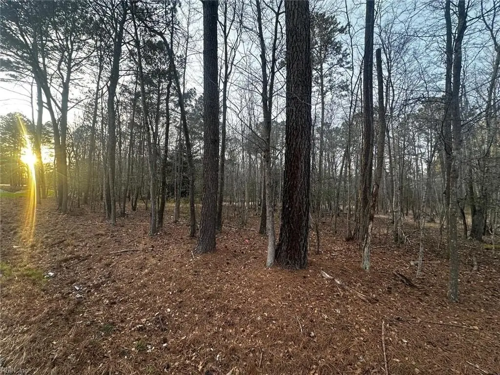 Picture 7