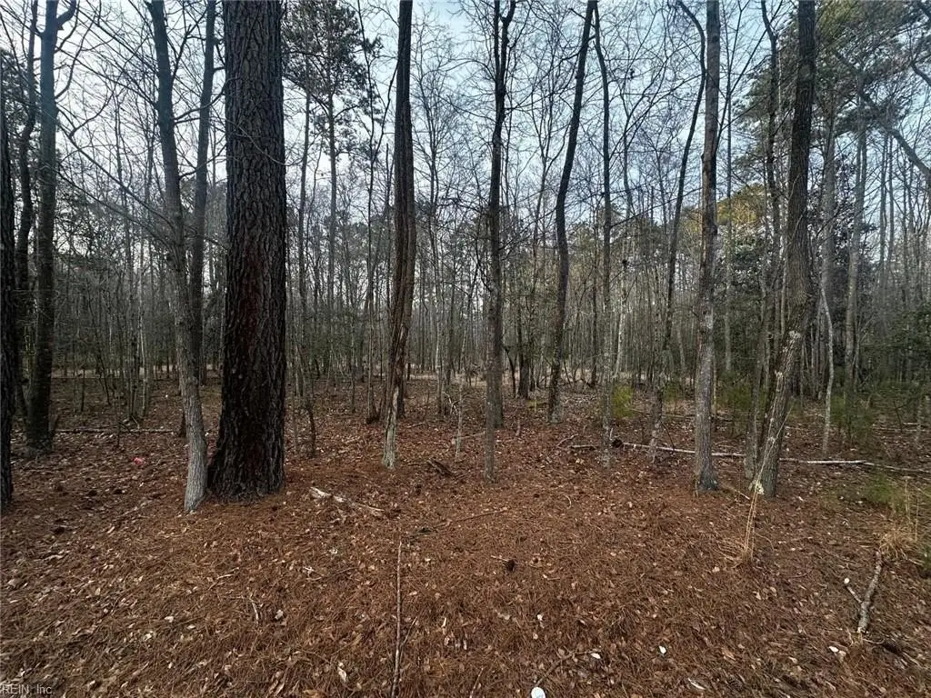 Picture 3