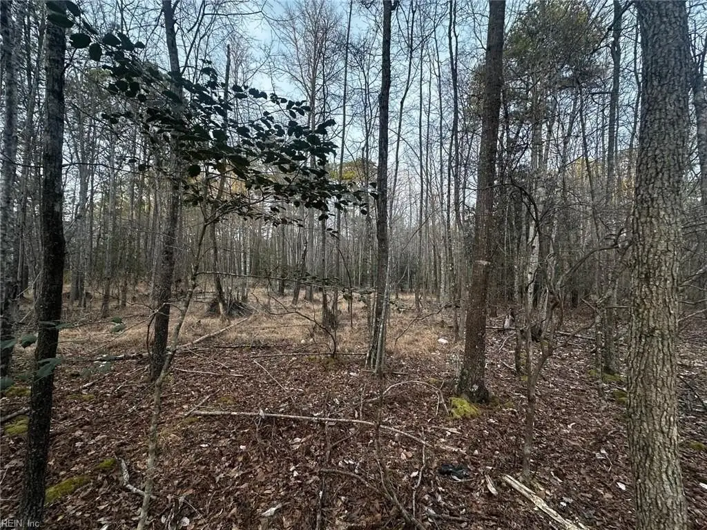 Picture 8