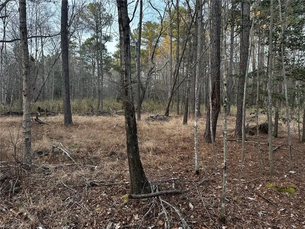 Picture 12