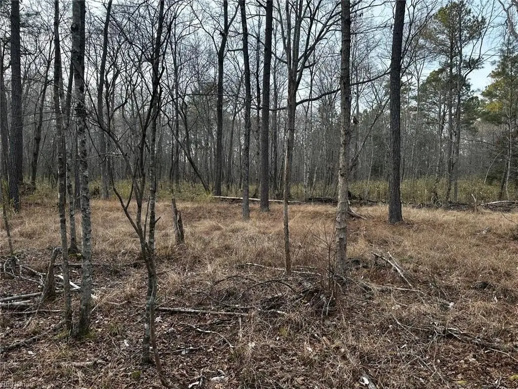 Picture 4
