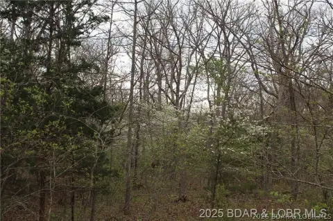 Wooded Land Near Highway P