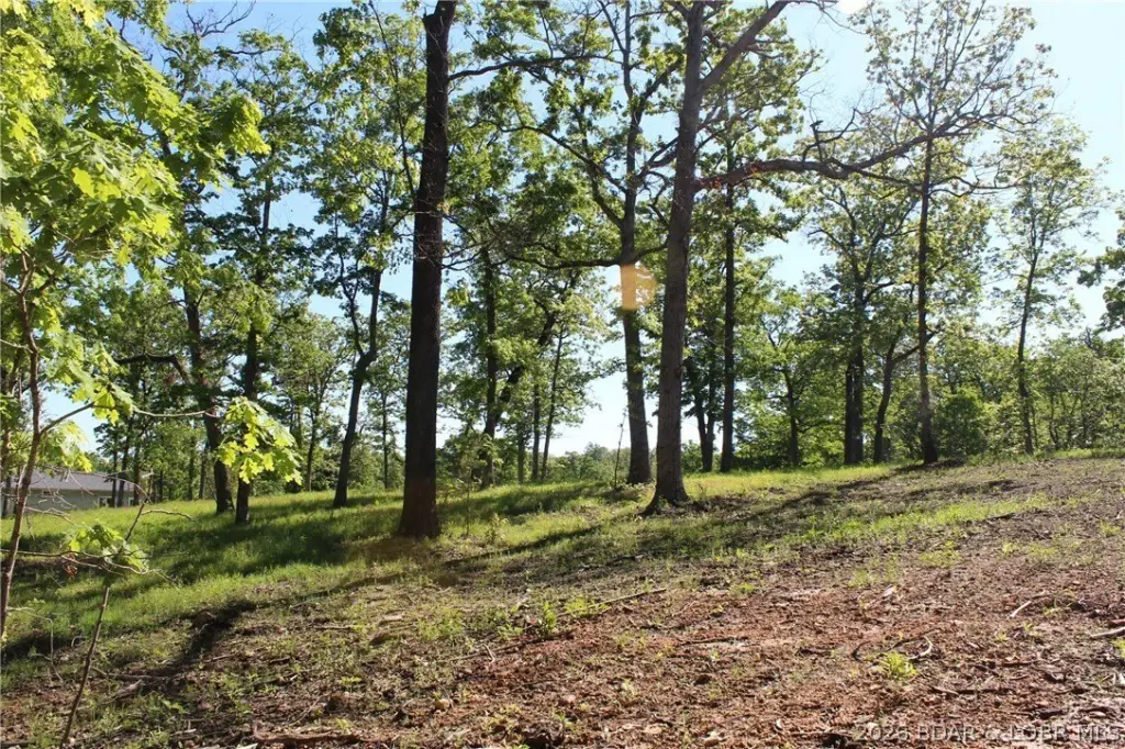 Picture 5