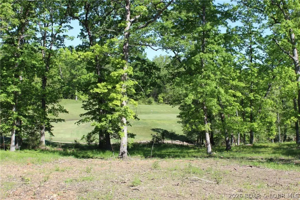 Picture 9