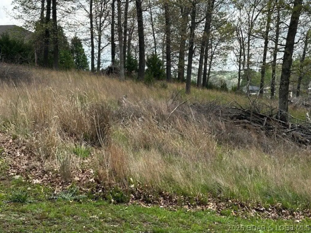 Picture 5