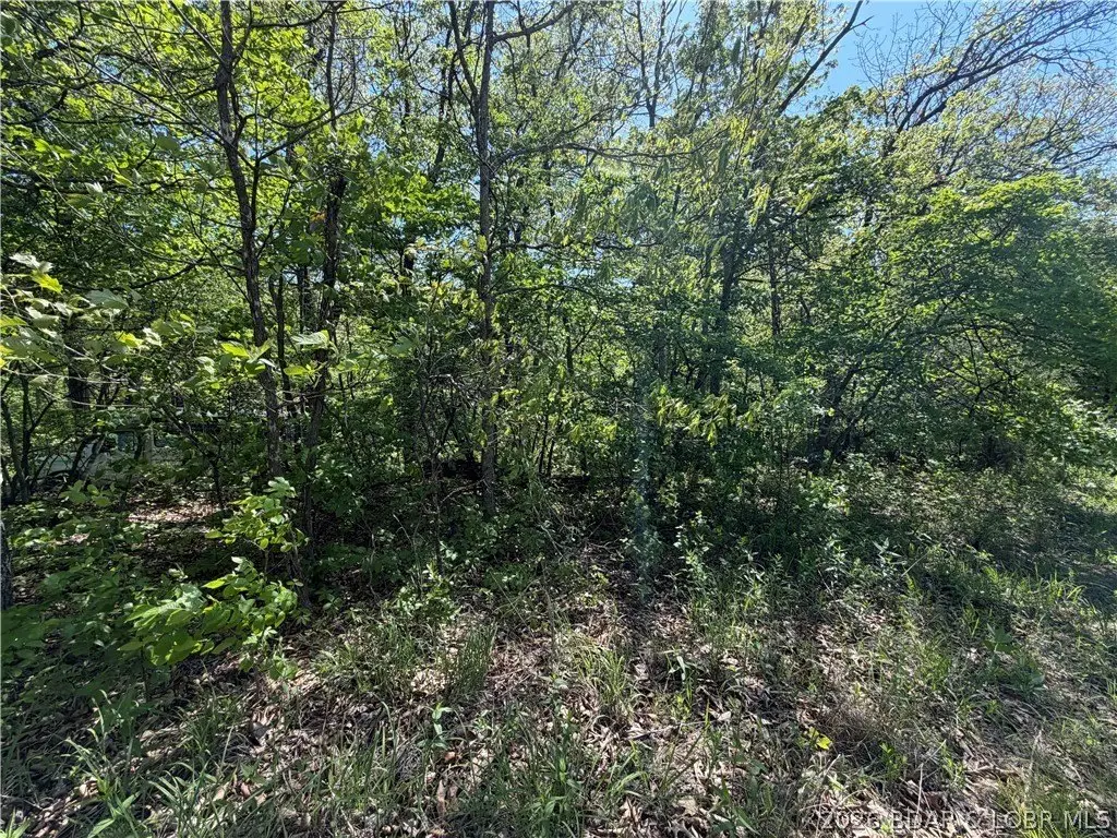 Picture 4