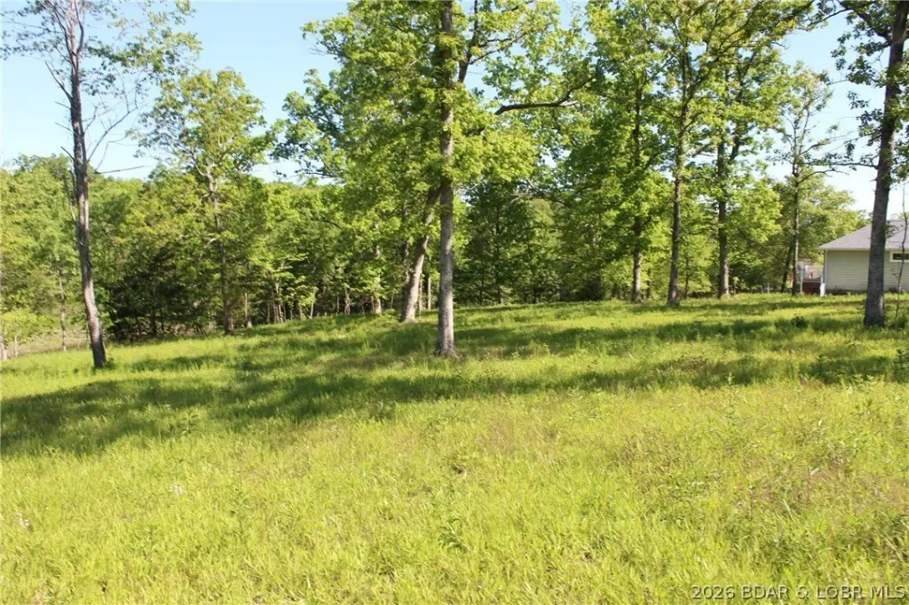 Picture 6