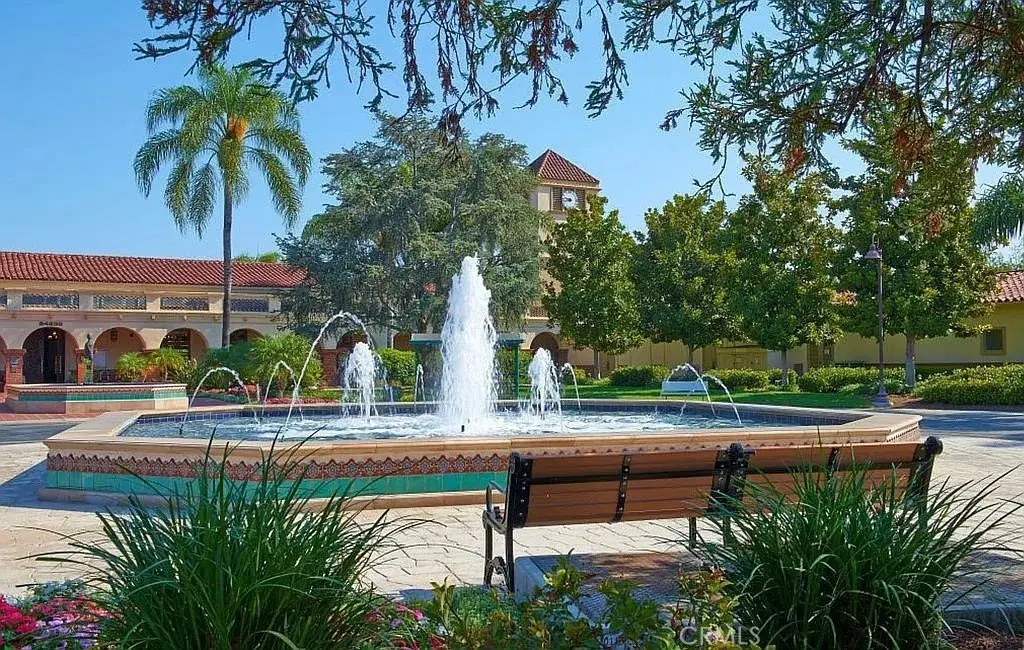 Picture 23