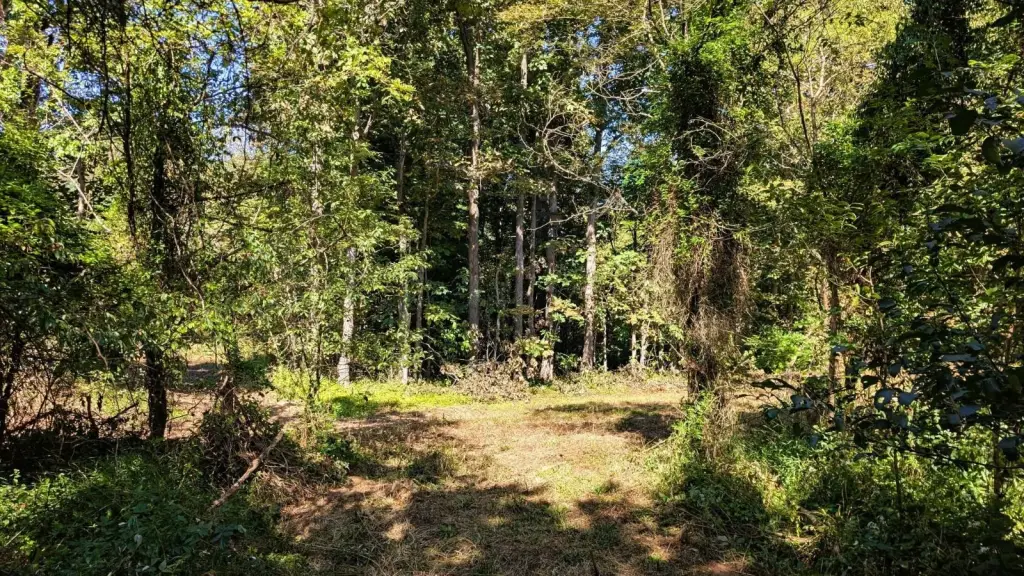 Picture 20