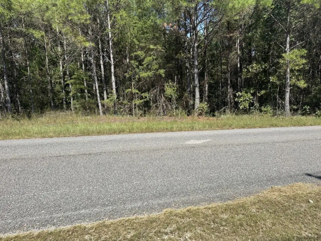 Picture 35