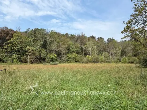 Commercial Land with Timber