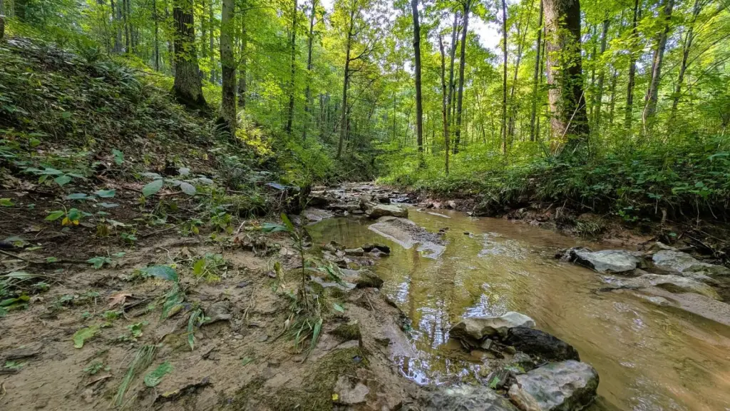 Picture 18
