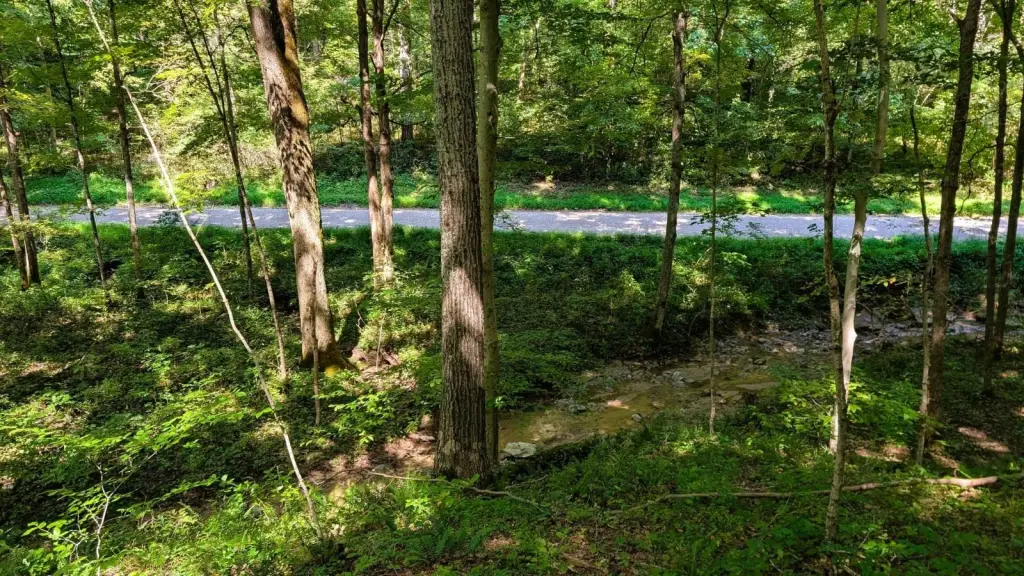 Picture 15