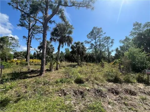 Vacant Lot in Punta Gorda