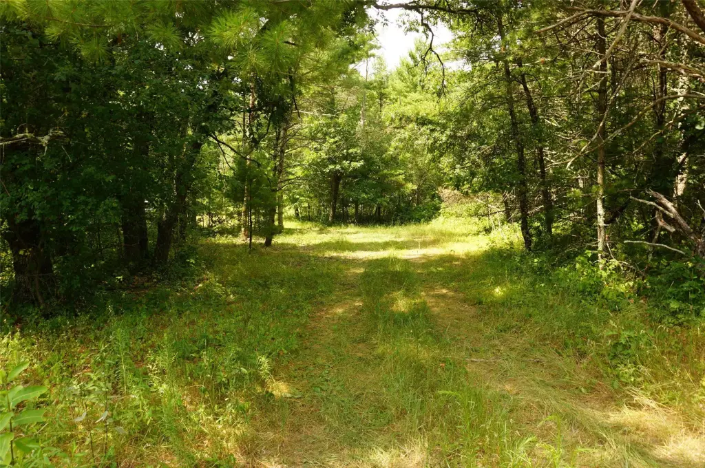 Picture 11