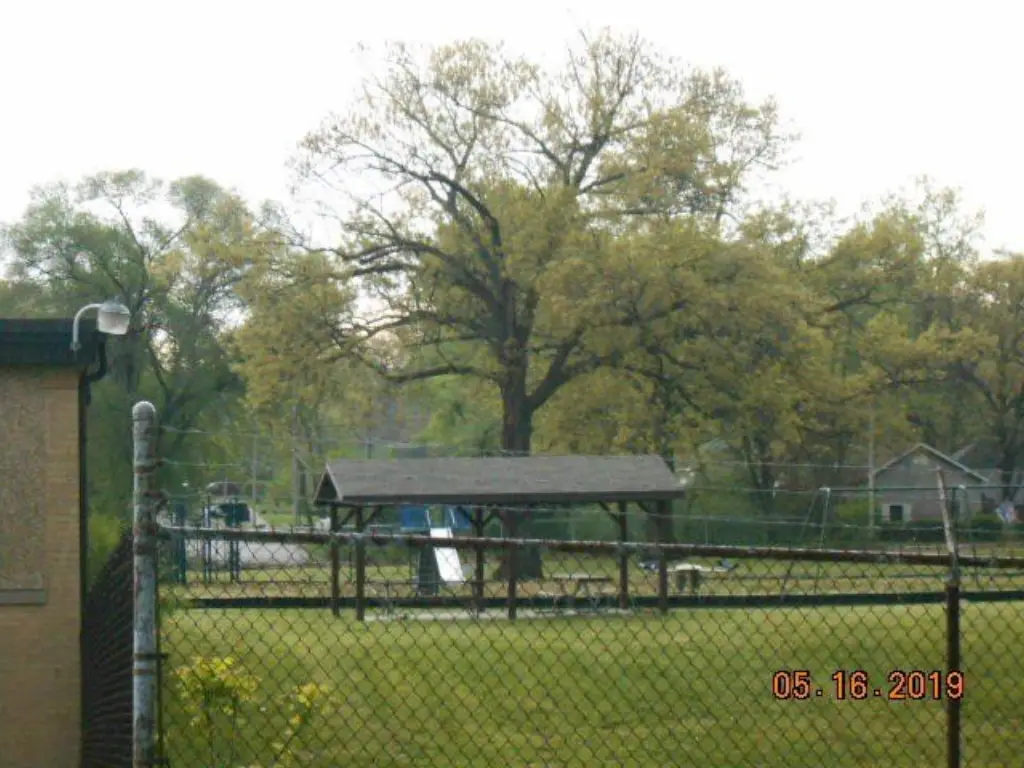 Picture 3
