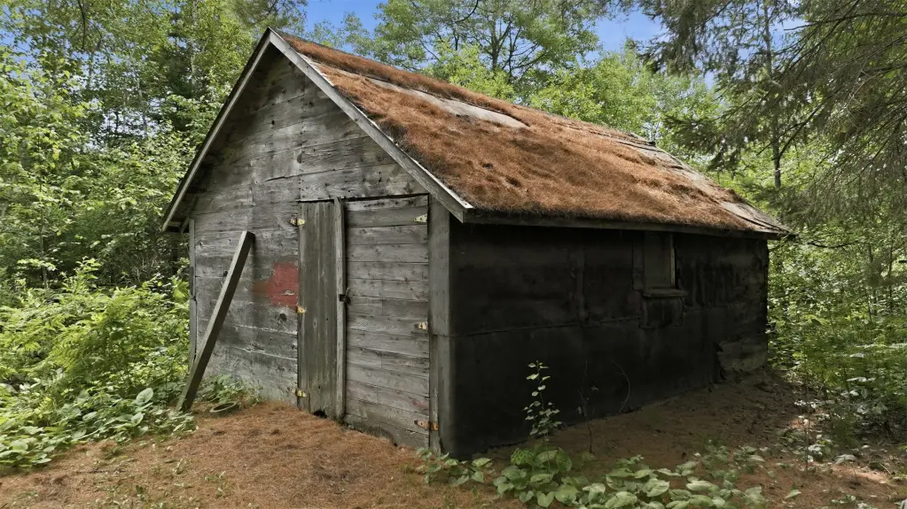 Picture 33