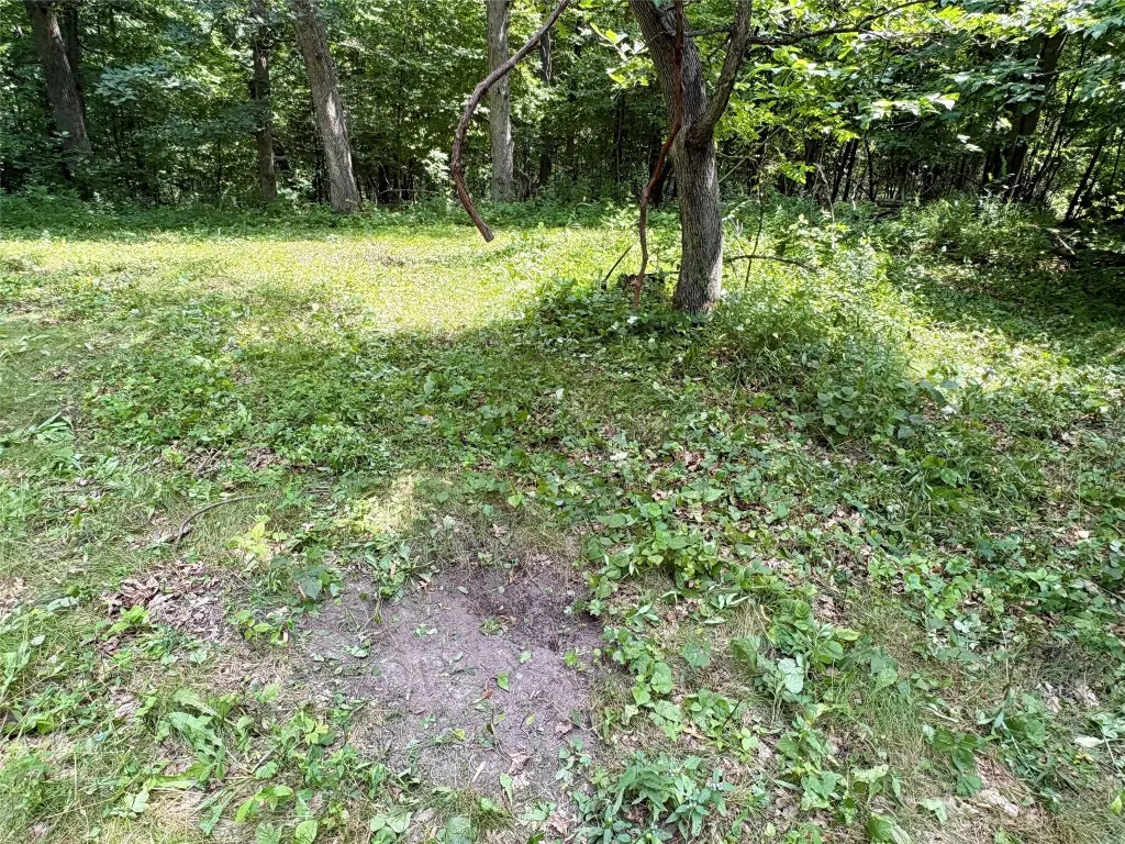 Picture 31