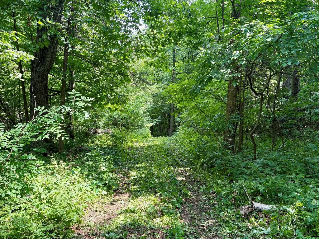 Picture 16
