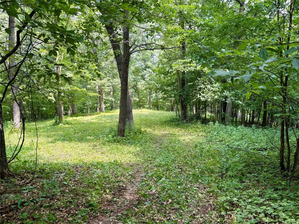 Picture 30