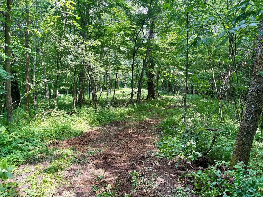 Picture 29