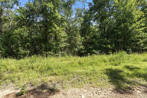 Shirley, AR Wooded Acreage