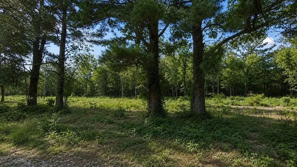 Picture 6