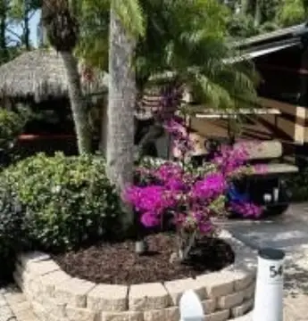 Updated RV Lot with Tiki