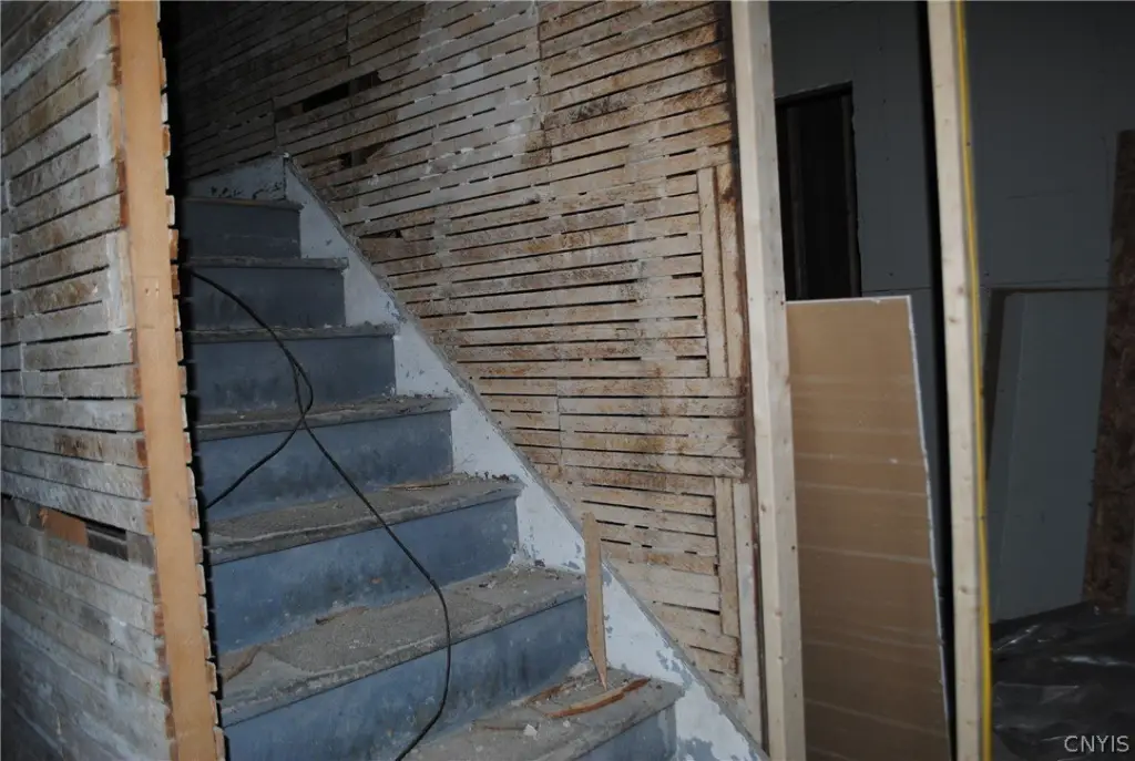 Picture 11