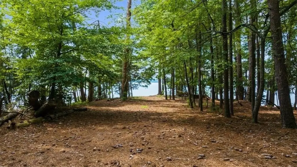 Picture 17