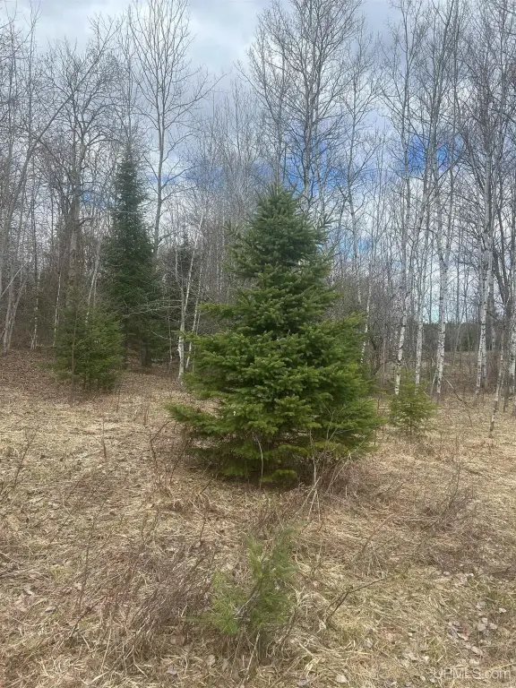 Picture 4