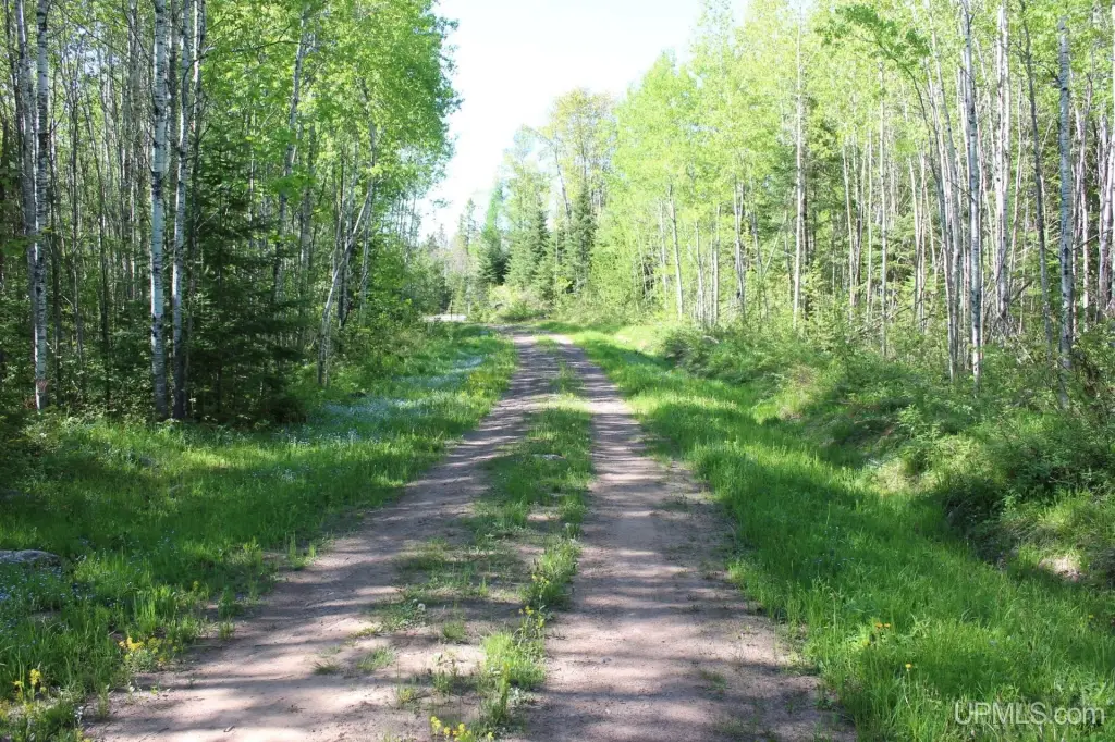 Picture 20