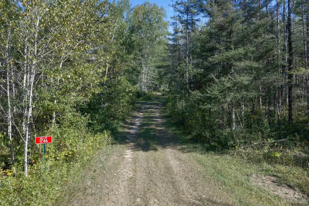 Picture 15