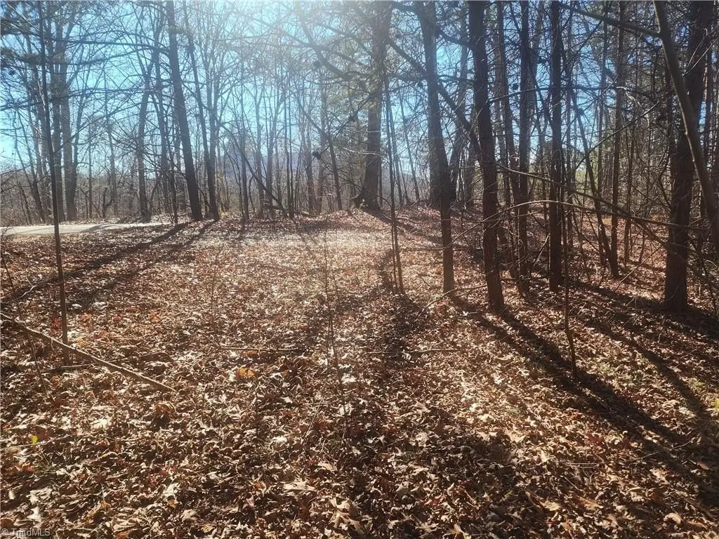 Picture 17