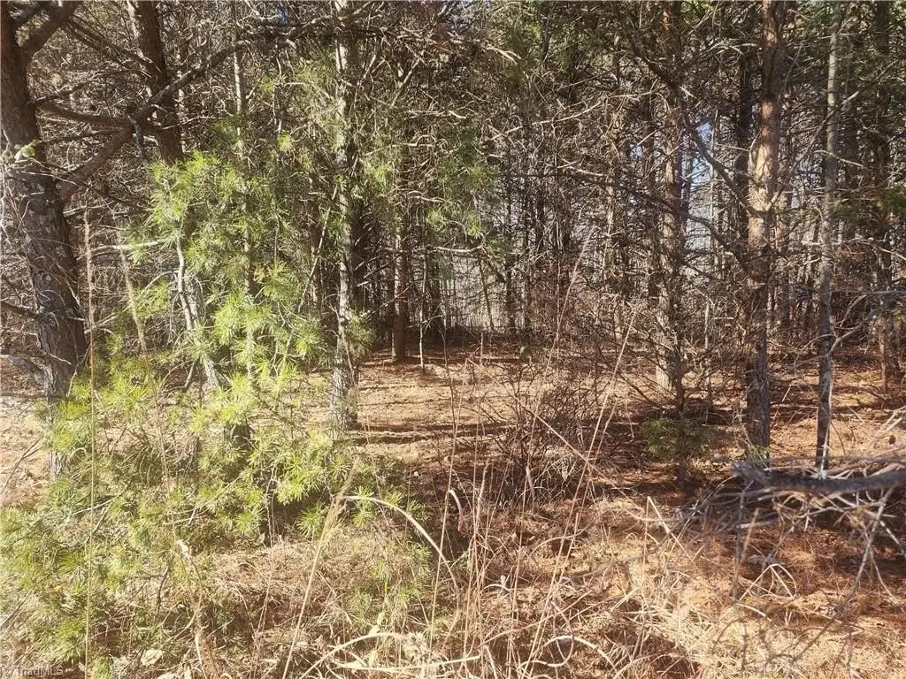 Picture 16