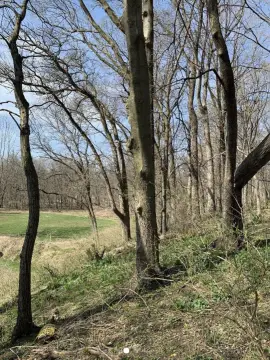 Secluded Wooded Lot in Morris