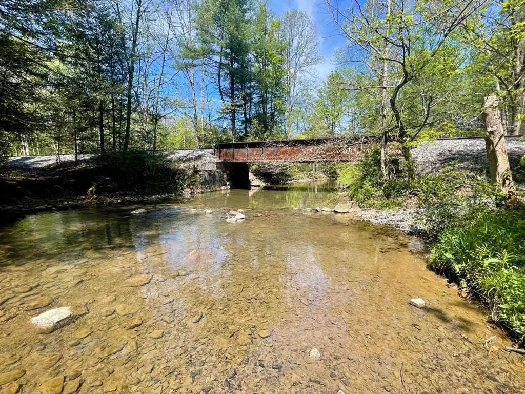 Picture 41